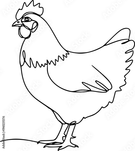 Hen in continuous line art drawing style. Chicken minimalist black linear design isolated on white background. Vector illustration
