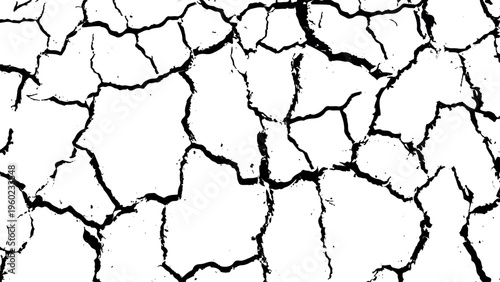 Tree bark texture with cracked dry earth pattern background. Tree bark texture with cracked dry surface and grunge pattern