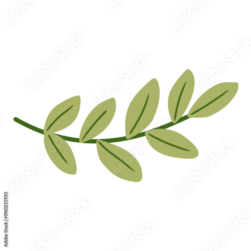 Leaf Branch in Flat Style for Wedding Natural Decoration Element