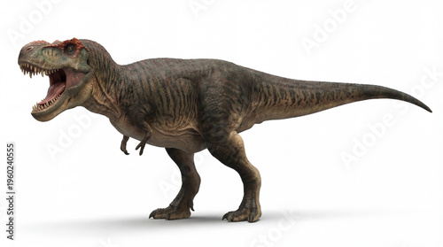 Tyrannosaurus rex roaring predator isolated on white background, prehistoric dinosaur attacking, adult T. rex in dynamic naturalistic pose, detailed view