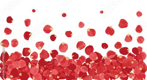 Falling red rose petals cascade downward against white background for romantic