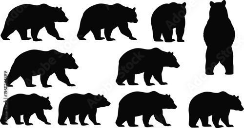 Grizzly bear silhouette vector set featuring wild forest animals in various poses including walking standing and prowling isolated on white background for nature design