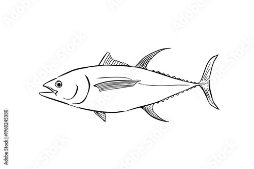 Yellowfin tuna ink brush illustration fish line art