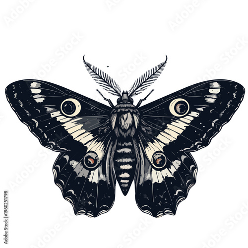 vector butterfly on white background