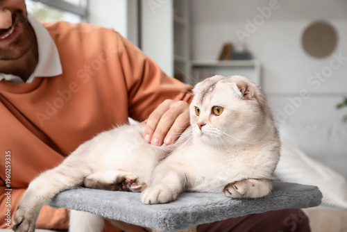 Young man petting cute Scot...