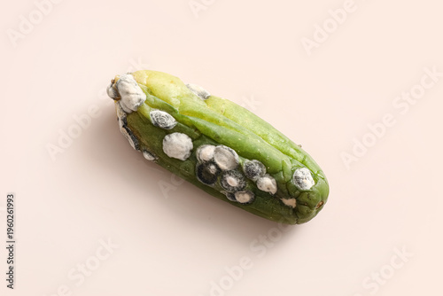 Obraz na plátne Spoiled cucumber with mildew on white background, closeup