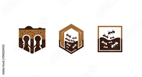 Ant Colony Icons: Underground Tunnels, Nest Structures, and Active Ants