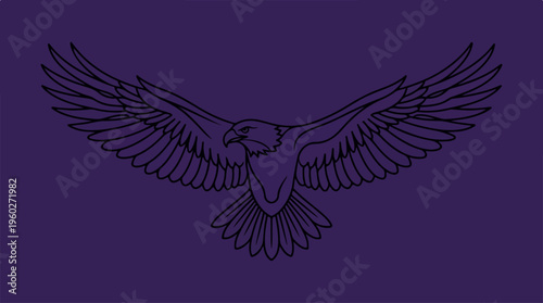 Bird Eagle Wings Spread Wide.