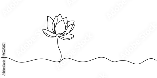 Continuous line drawing of lotus flower .one line vector illustration with out background, Continuous line drawing of lotus flower .one line vector illustration with out background,
