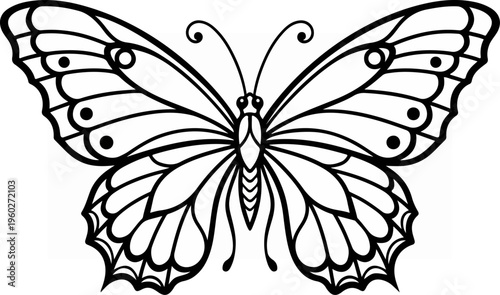 Black Butterfly Line Art Drawing.