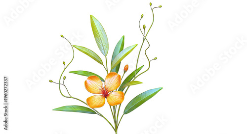 Orange Flower with Green and Yellow Leaves and Buds