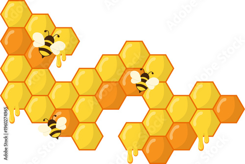 Honeycomb Corner Design Illustration. Hexagonal Border with Honey, Bee, Flower Vector Isolated