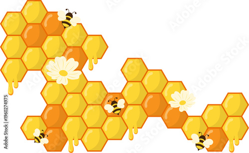 Honeycomb Corner Design Illustration. Hexagonal Border with Honey, Bee, Flower Vector Isolated