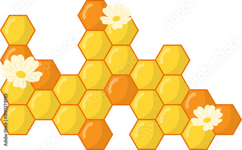 Honeycomb Corner Design Illustration. Hexagonal Border with Honey, Bee, Flower Vector Isolated