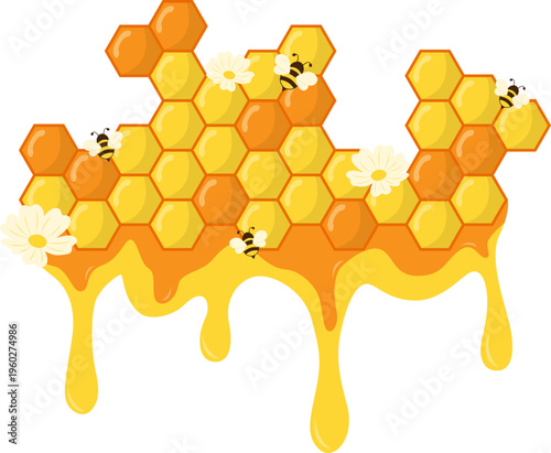 Honeycomb Corner Design Illustration. Hexagonal Border with Honey, Bee, Flower Vector Isolated