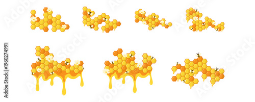 Honeycomb Corner Design Illustration. Hexagonal Border with Honey, Bee, Flower Vector Isolated