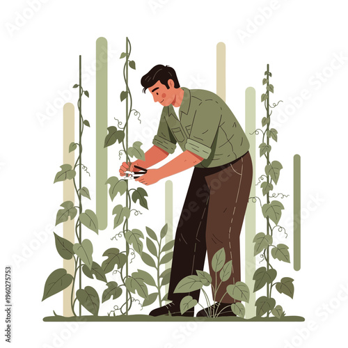 Gardener Pruning Vine Plants In Organic Urban Farming Illustration Style