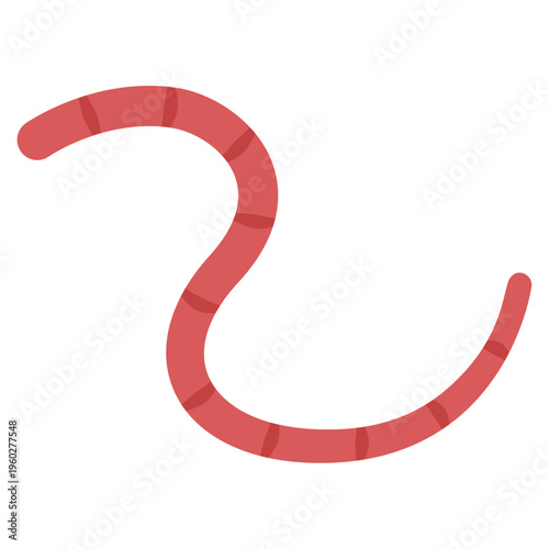 worm illustration