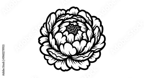 Stylized black and white peony flower illustration on white background