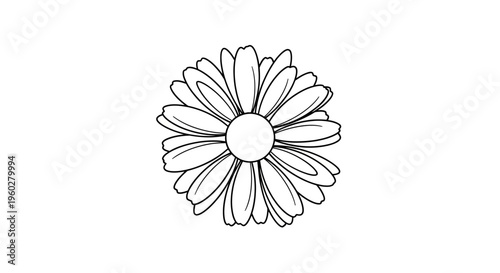 Simple black outline drawing of a daisy flower