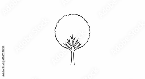 Minimalist line art tree illustration with round canopy