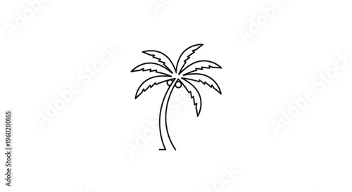 Minimalist black outline palm tree icon with coconuts