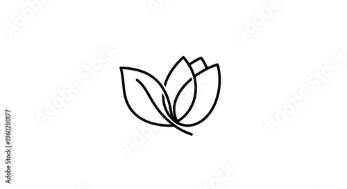 Minimalist black line art lotus flower or leaf icon
