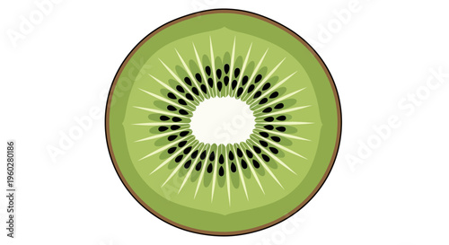 Kiwi fruit slice cross-section isolated on white background