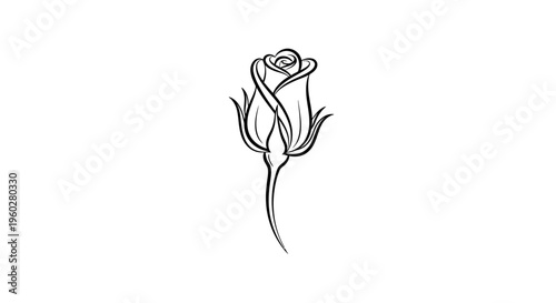 Elegant black and white rosebud line art illustration
