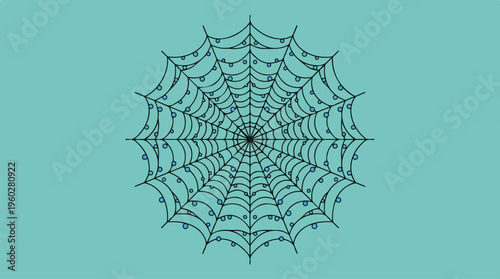 Intricate Spider Web Design Closeup.
