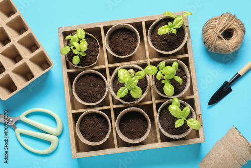 Wooden organizer with plant...