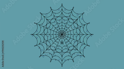 Spider web closeup detail.