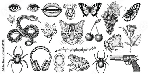 Eclectic black and white illustration collage, surreal mix of anatomy animals plants objects, stippled engraved artwork design, flat vector illustration