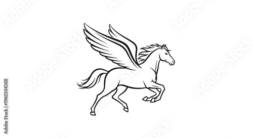 Pegasus mythological creature, white horse with wings, line art, isolated on white background