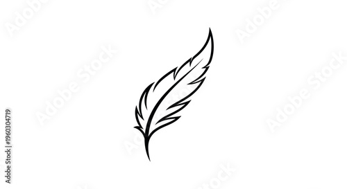 Minimalist black feather drawing on white background, hand-drawn illustration, simple elegant design