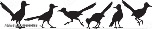 Black Silhouettes of Greater Roadrunners in Various Poses, Desert Bird or Chaparral Bird Illustration Collection.