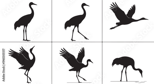 Set of Crane Bird Silhouettes in Various Poses, Including Flying, Standing, and Feeding; Minimalist Vector Illustration of Herons or Storks