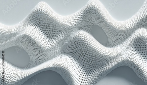 A white, undulating, web-like structure with flowing lines and organic forms