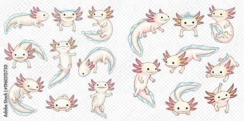 Cute cartoon axolotl characters in various poses and expressions, adorable amphibian salamanders with frilly gills, isolated on a transparent background.