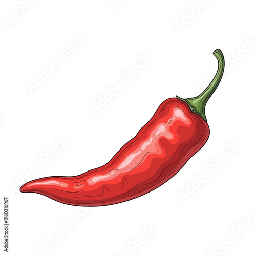 Red Chili Pepper Illustration