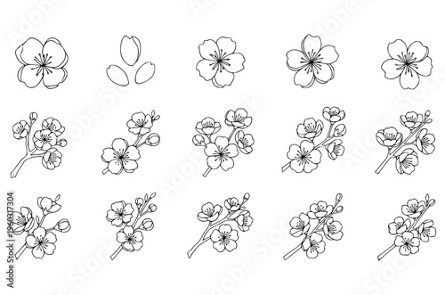 Outline sakura flowers blossom set. hand drawn doodle sakura flower line icons collection. Realistic floral bloom for spring japanese or chinese design