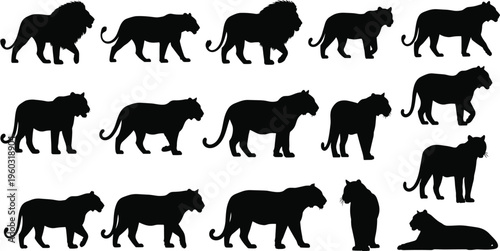 Black silhouette illustration of fifteen big cats including lions, tigers, and leopards in various poses, symbolizing wildlife artwork, animal design, nature creativity, and zoological projects