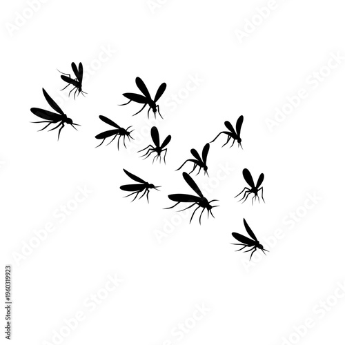 Flying Mosquito Silhouette 