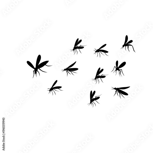 Flying Mosquito Silhouette 