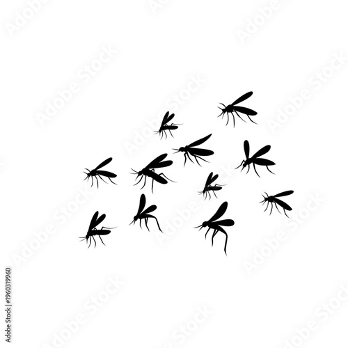 Flying Mosquito Silhouette 