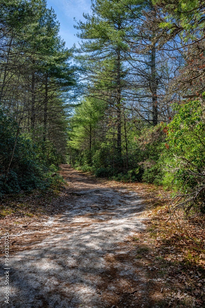 Fototapeta premium Panthertown Valley, Sapphire, NC