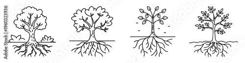 Four stylized trees with visible roots and different crown shapes
