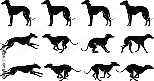 Seamless Pattern Silhouette of Greyhound Dogs in Various Poses Including Running Jumping Standing and Sitting for Elegant Animal Vector Background Design