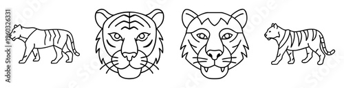 Linear illustration of stylized tigers in side view and full face forward