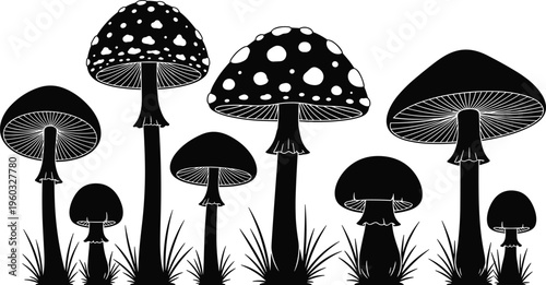 Toadstool and Mushroom Silhouette Collection, Wild Fungus Forest Graphics with Spotted Caps for Nature Illustration, Botanical Decor, and Autumn Designs